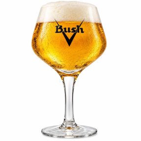 Bush beer glass 33 cl