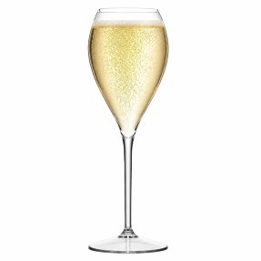 Lounge champagne glass Tritan Plastic