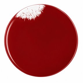 Holi Feu plate 255 mm