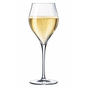 Exaltation champagne glass 30 cl 6 pcs