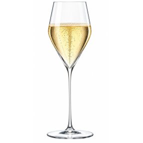 Zalto Denk`Art champagne glass