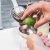 Stainless Steel Citrus Press 22 cm