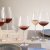 Schott Zwiesel Diva Burgundy red wine glass 48 cl 2 pcs