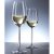 Schott Zwiesel Diva white wine glass 30 cl 2 pcs