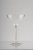 Harry martini glass plastic