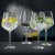 Nachtmann Gin & Tonic glass 4-pack