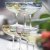 Magnor Happy Champagne glass Green Coupe 28 cl