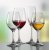 Spiegelau Festival Chianti vinglas Wine glass