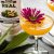 Passion fruit puree Real 50 cl