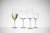 Juhlin red wine glass 60 cl 2-pack