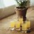 Saba Shot Glasses 6 cl, 6-Pack