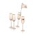 Soft Pink Flute Champagne glass 22 cl 4-pack