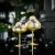 Gold glass champagne glass - Cocktail glass in gold 45 cl