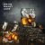 Sorgente whisky glass DOF 42 cl
