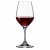 Expert Wine Tasting glass 6-pack