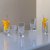Bar shot glasses 7 cl 4-pack Stiernholm
