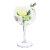Vin Bouquet Gin & Tonic glass 2-pack
