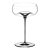 Vision Nostalgic champagne and water glass 2-pack