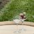 Zwiesel glas Bouquet cider glasses 37 cl – set of 2