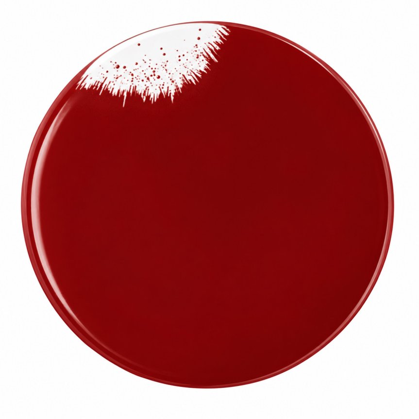 Zoom image of Holi Feu plate 255 mm