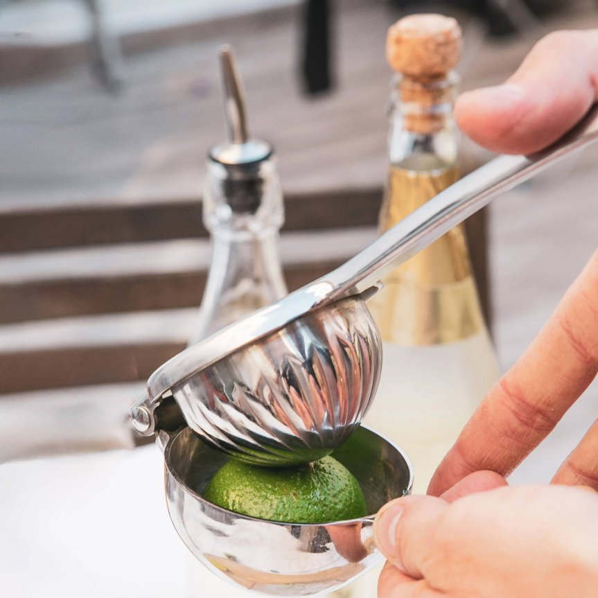Zoom image of Stainless Steel Citrus Press 22 cm