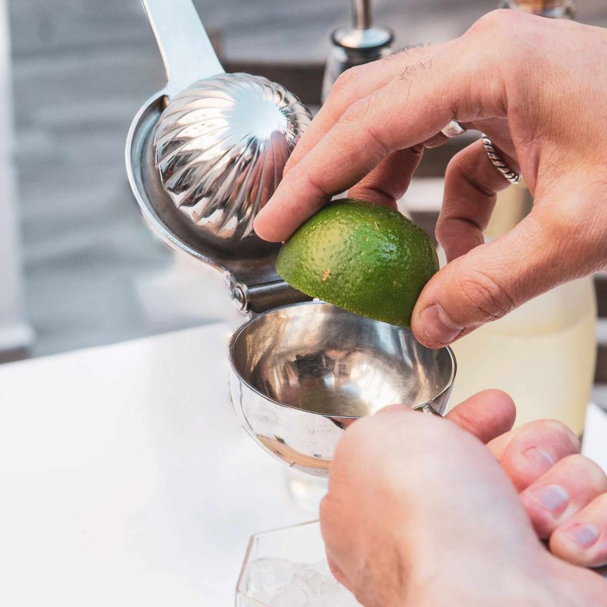 Zoom image of Stainless Steel Citrus Press 22 cm