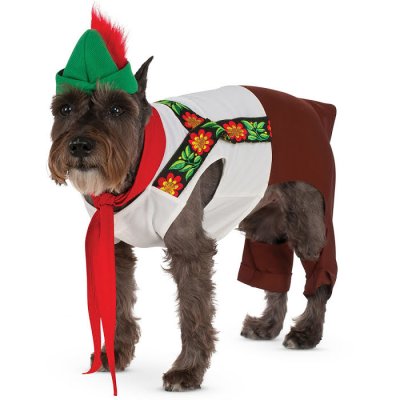 Dog costume, lederhosen size Small