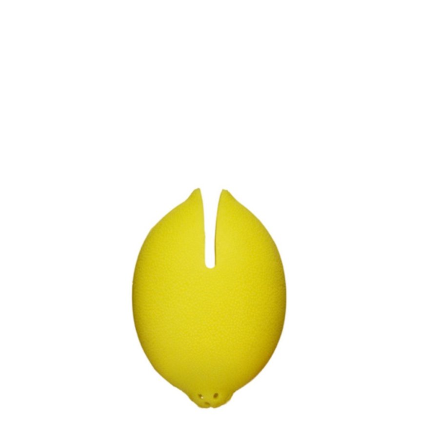 Citrus squeezer