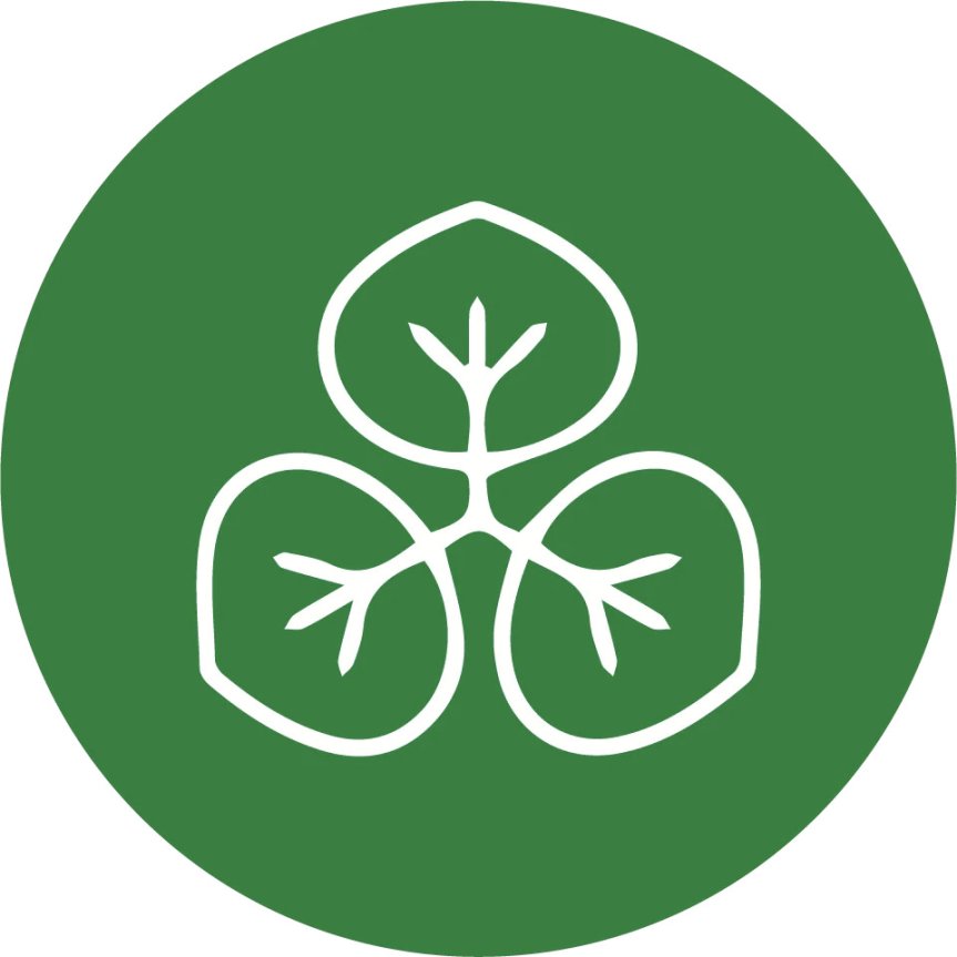 Black straws bioplastic 15 cm 50-pack