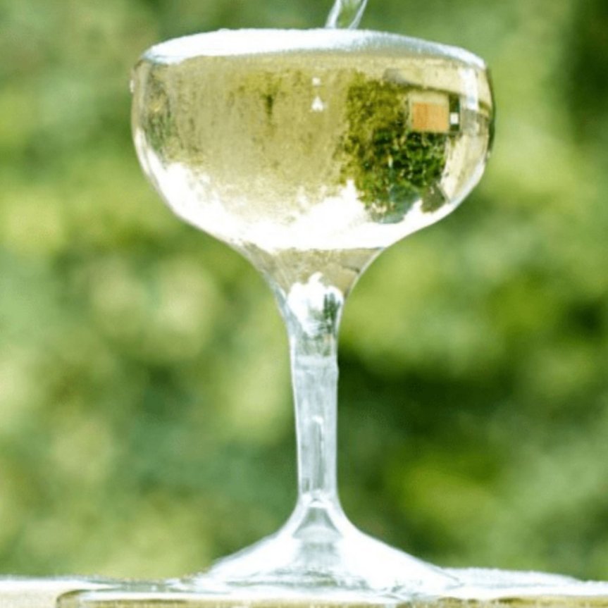 Tinto champagne glass coupe in plastic 25.5 cl