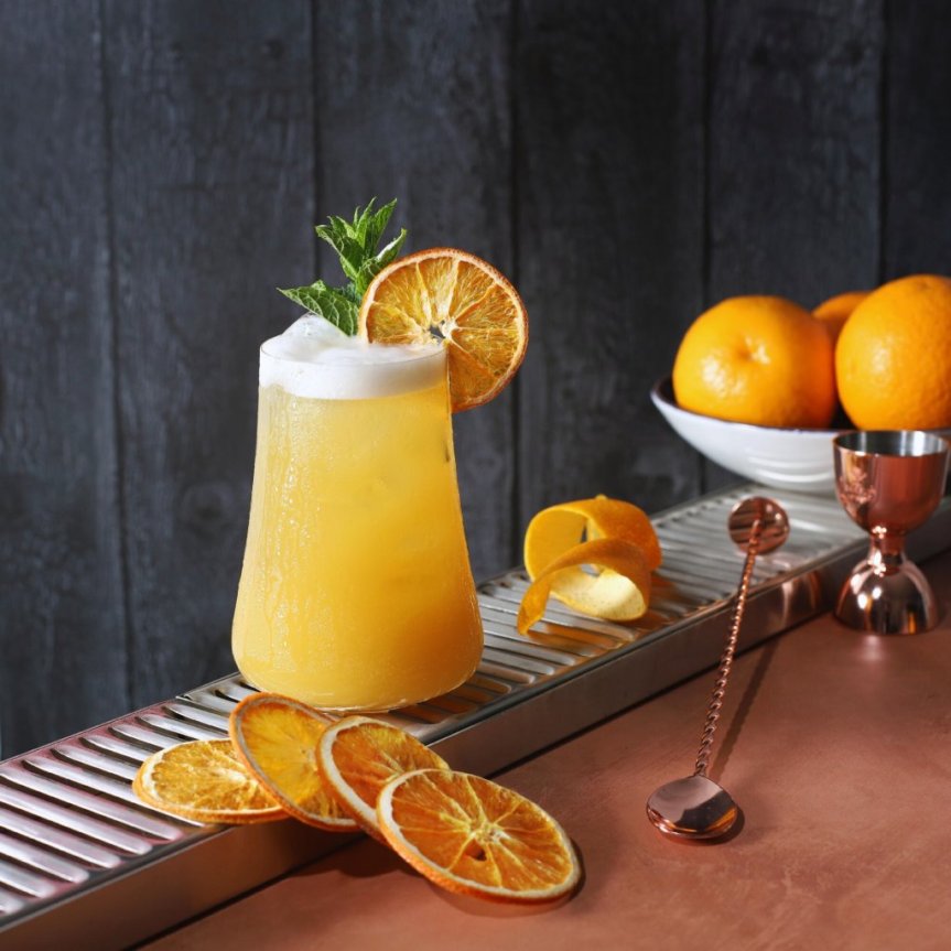 Dried orange slices mini pack 10 grams