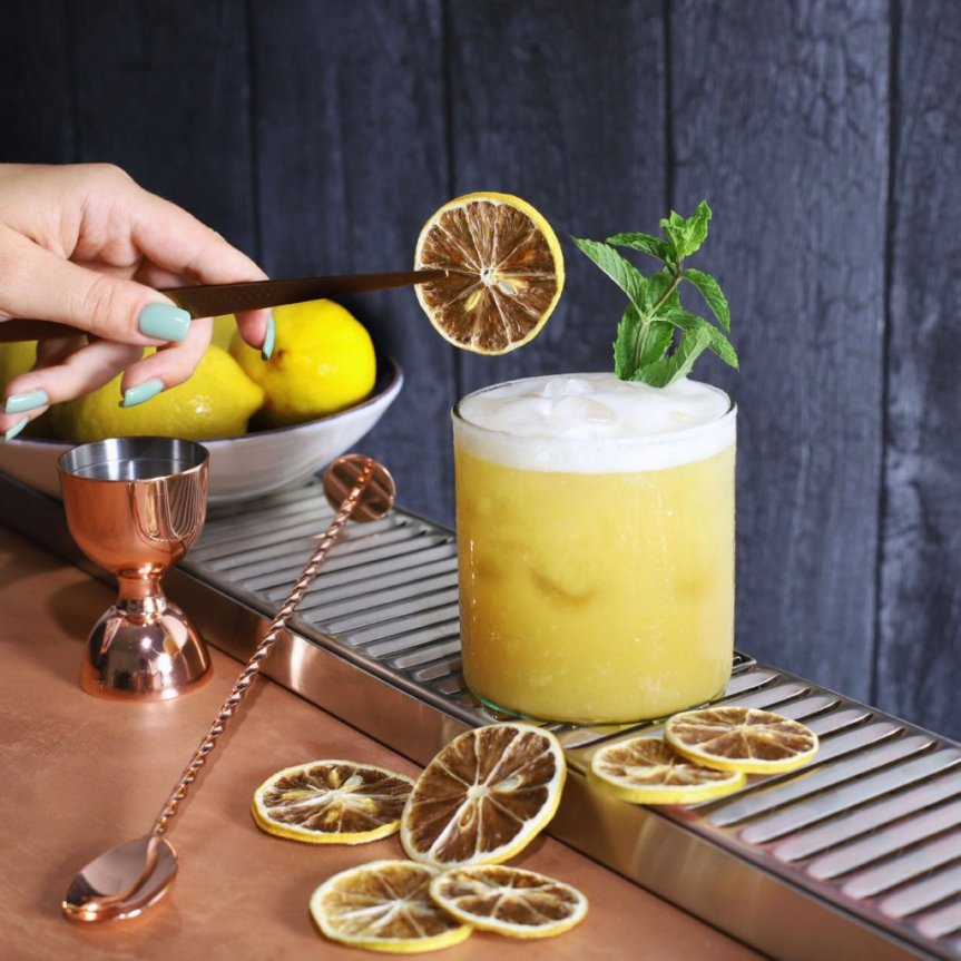 Dried lemon slices mini pack 10 grams